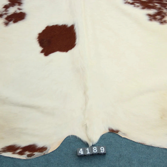 Kuhfell Rot Weiß (4189) XXL 4-5 qm  Gerberei Birke Fellshop: Nahaufnahme Rückenende
