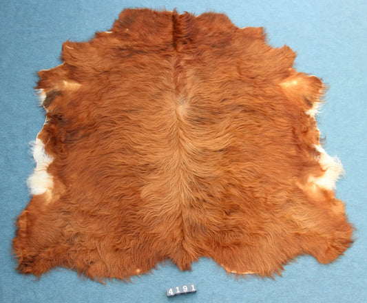 Kuhfell Rot Weiß (4191) XXL 4-5 qm  Gerberei Birke Fellshop: Gesamtaufnahme