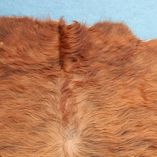 Kuhfell Rot Weiß (4191) XXL 4-5 qm  Gerberei Birke Fellshop: Nahaufnahme Hals