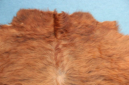 Kuhfell Rot Weiß (4191) XXL 4-5 qm  Gerberei Birke Fellshop: Nahaufnahme Hals