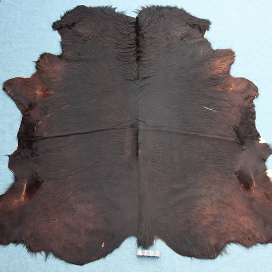Kuhfell Schwarz Braun (4192) XXL 4-5 qm  Gerberei Birke Fellshop: Gesamtaufnahme