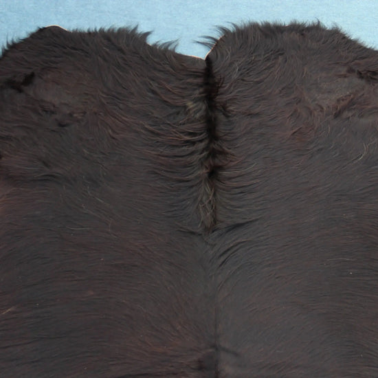 Kuhfell Schwarz Braun (4192) XXL 4-5 qm  Gerberei Birke Fellshop: Nahaufnahme Hals