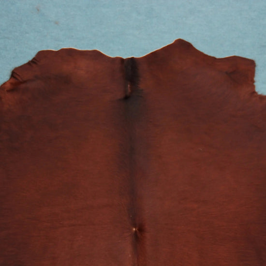 Kuhfell Braun Weiß (4193) XXL 4-5 qm  Gerberei Birke Fellshop: Nahaufnahme Hals