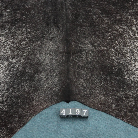 Kuhfell Schwarz Braun Weiß Salz & Pfeffer (4197) XXL 4-5 qm  Gerberei Birke Fellshop: Nahaufnahme Rückenende