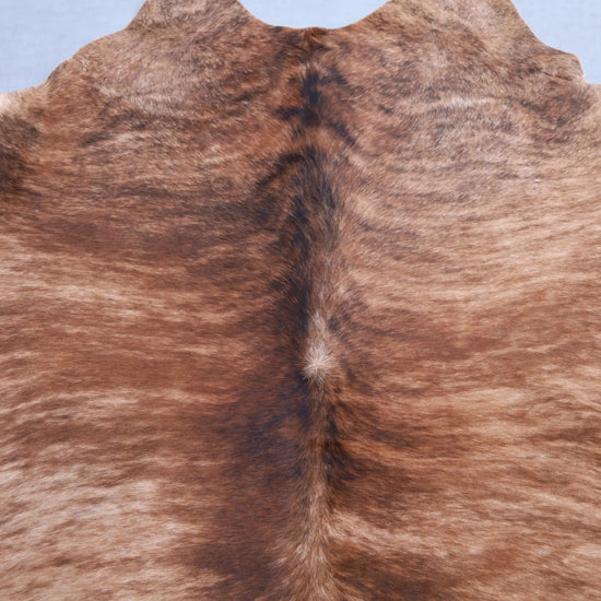 Kuhfell Braun Schwarz Beige getigert (4208) XXL 4-5 qm  Gerberei Birke Fellshop: Nahaufnahme Schulter