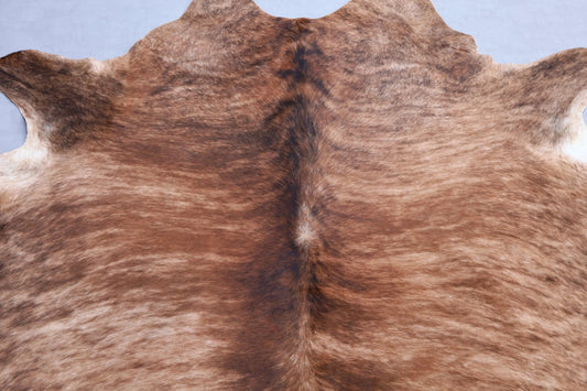 Kuhfell Braun Schwarz Beige getigert (4208) XXL 4-5 qm  Gerberei Birke Fellshop: Nahaufnahme Schulter