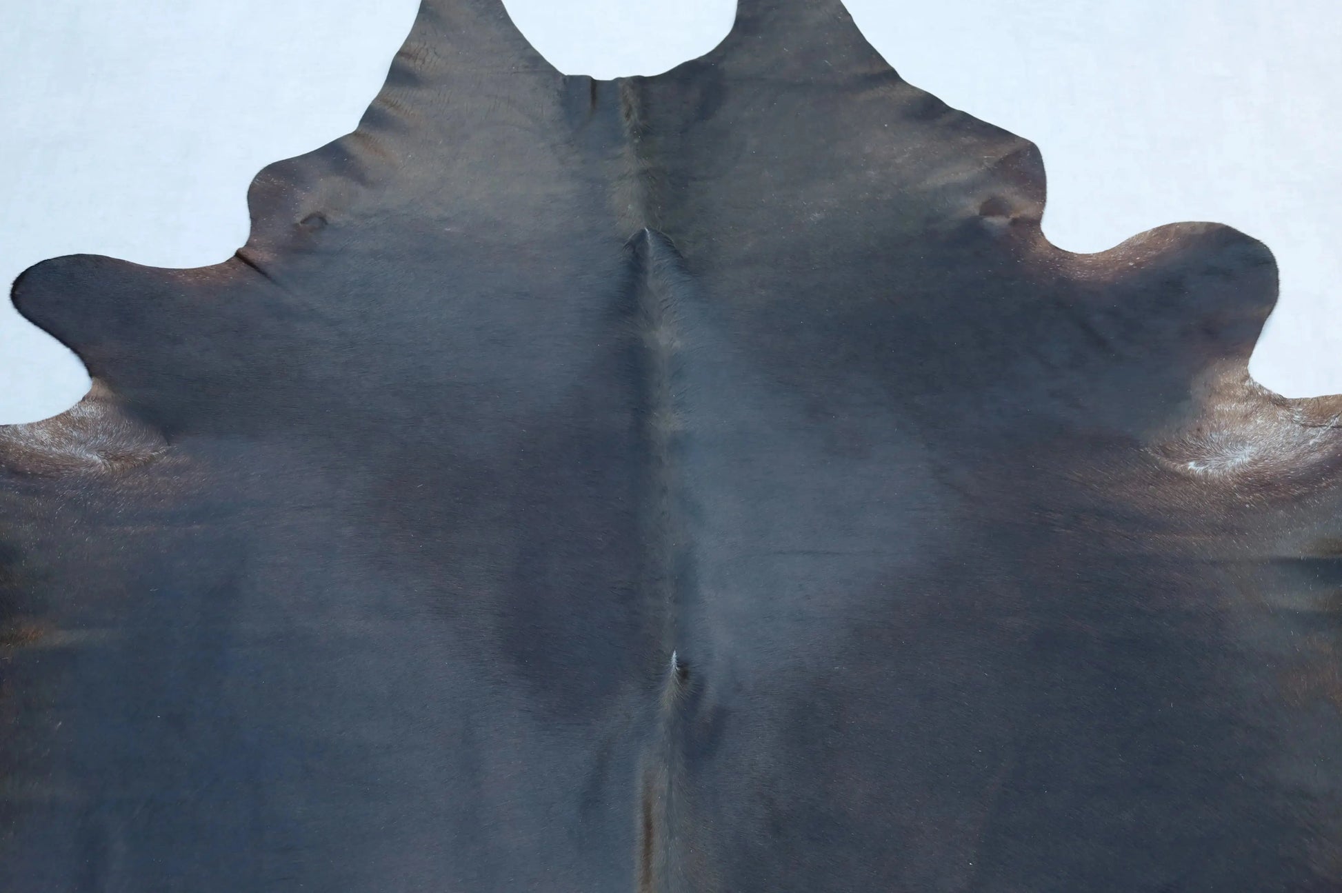 Kuhfell Schwarz Braun Weiß (4213) XXL 4-5 qm  Gerberei Birke Fellshop: Nahaufnahme Schulter