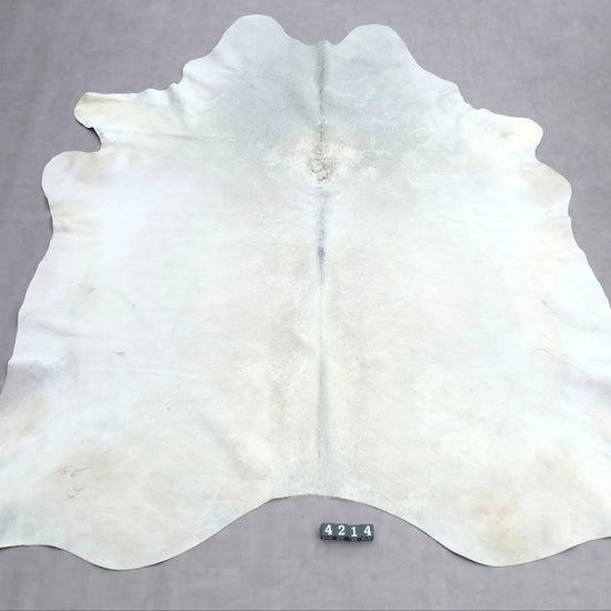 Kuhfell Beige Weiß (4214) XXL 4-5 qm  Gerberei Birke Fellshop: Gesamtaufnahme