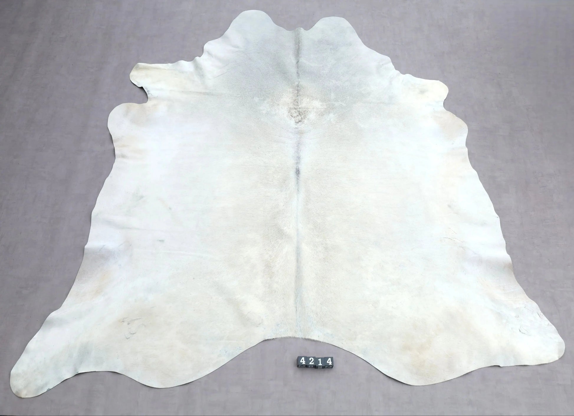 Kuhfell Beige Weiß (4214) XXL 4-5 qm  Gerberei Birke Fellshop: Gesamtaufnahme