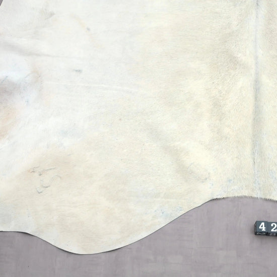 Kuhfell Beige Weiß (4214) XXL 4-5 qm  Gerberei Birke Fellshop: Nahaufnahme Rückenende