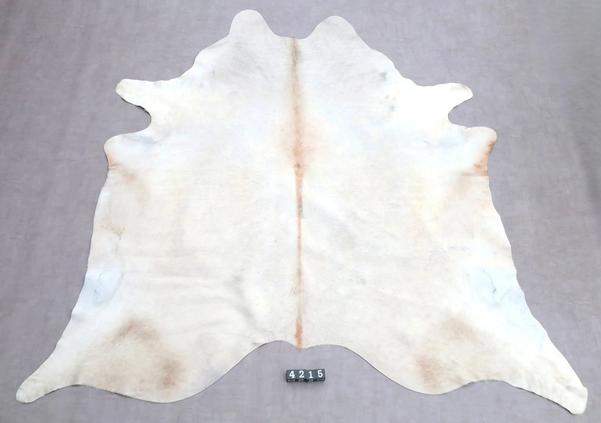 Kuhfell Beige Weiß mit Scheuerstellen (4215) XXL 4-5 qm  Gerberei Birke Fellshop: Gesamtaufnahme