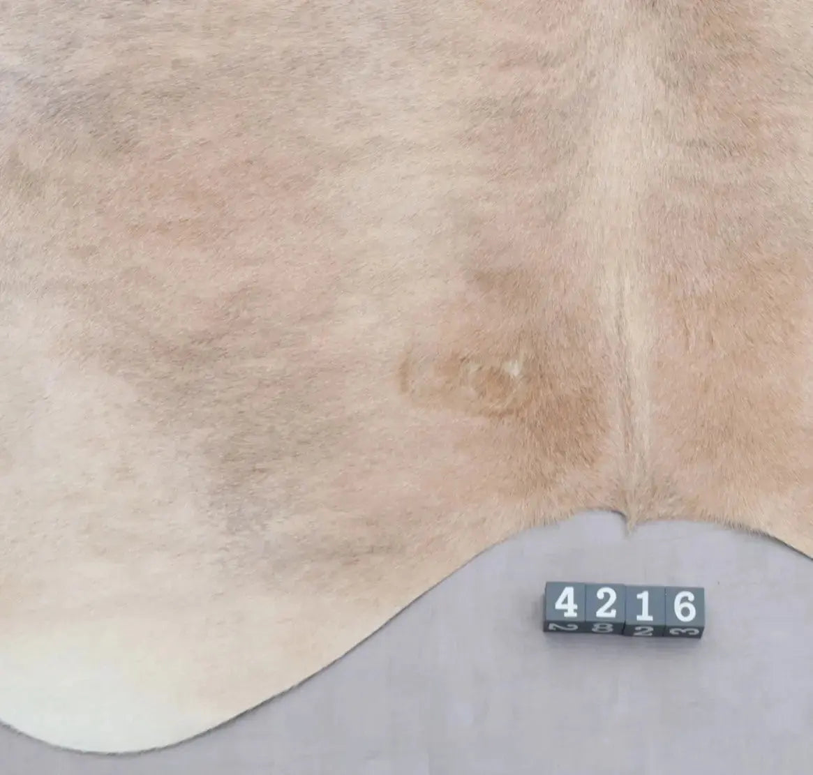 Kuhfell Beige Grau Weiß getigert (4216) XXL 4-5 qm  Gerberei Birke Fellshop: Nahaufnahme Rückenende