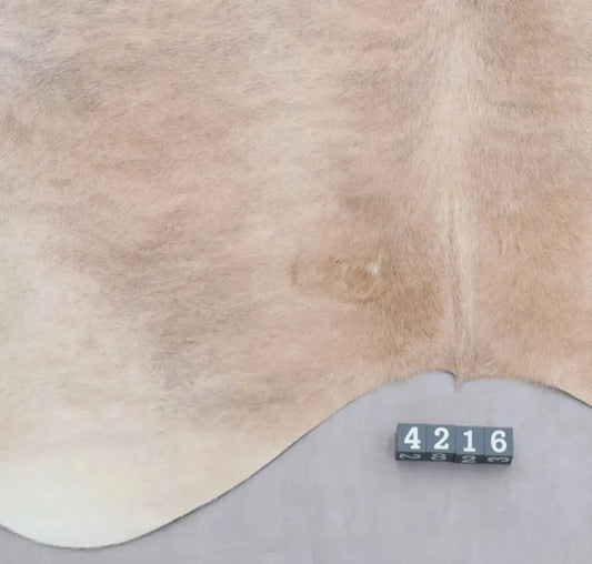 Kuhfell Beige Grau Weiß getigert (4216) XXL 4-5 qm  Gerberei Birke Fellshop: Nahaufnahme Rückenende