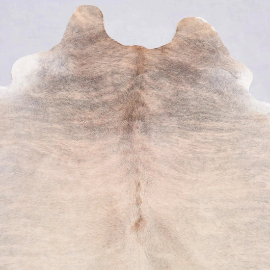 Kuhfell Beige Grau Weiß getigert (4216) XXL 4-5 qm  Gerberei Birke Fellshop: Nahaufnahme Hals