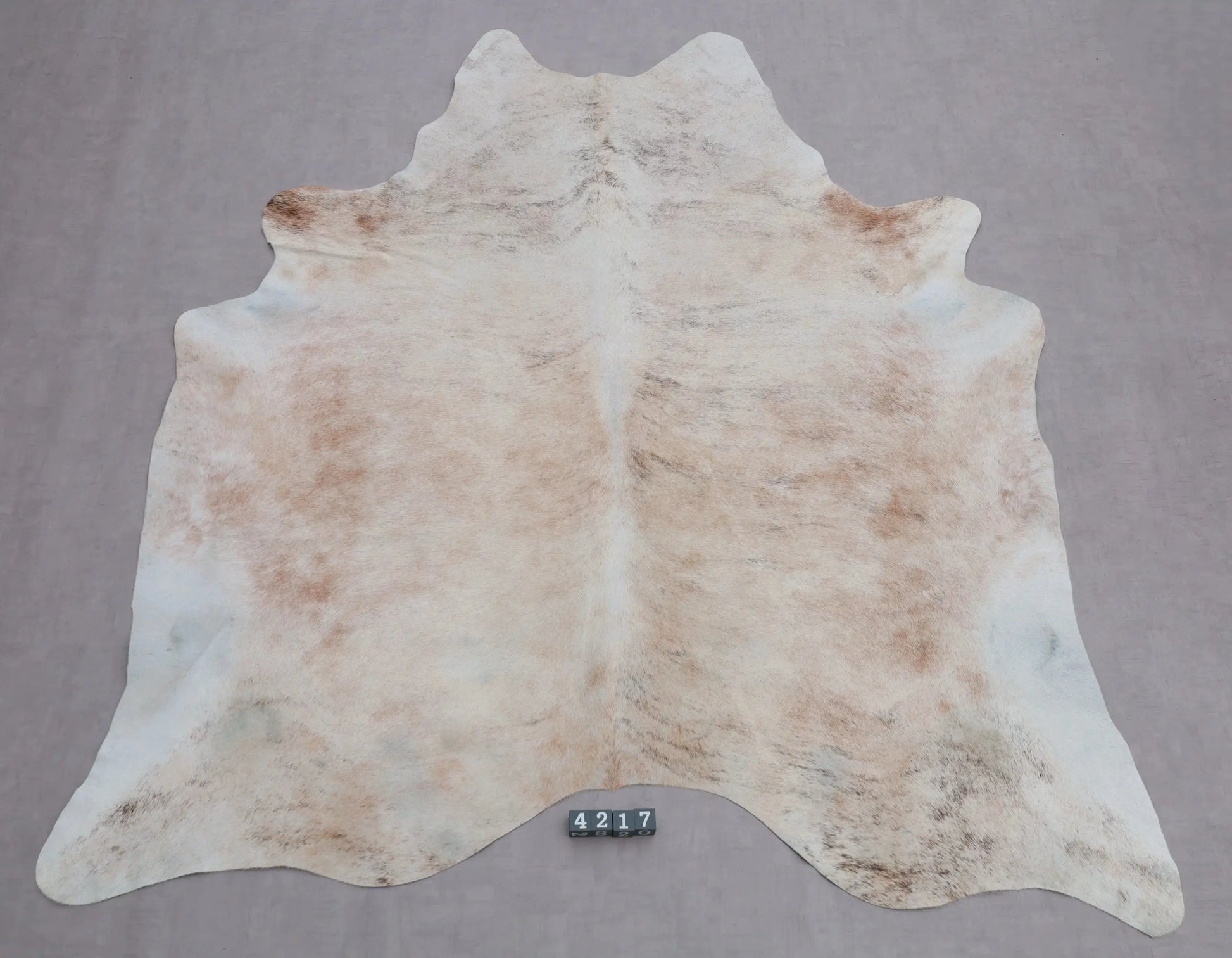 Kuhfell Beige Grau Weiß getigert (4217) XXL 4-5 qm  Gerberei Birke Fellshop: Gesamtaufnahme