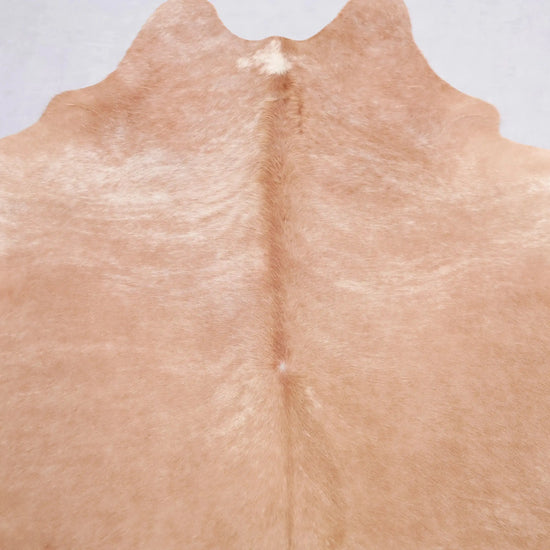Kuhfell Braun Beige (4218) XXL 4-5 qm  Gerberei Birke Fellshop: Nahaufnahme Schulter