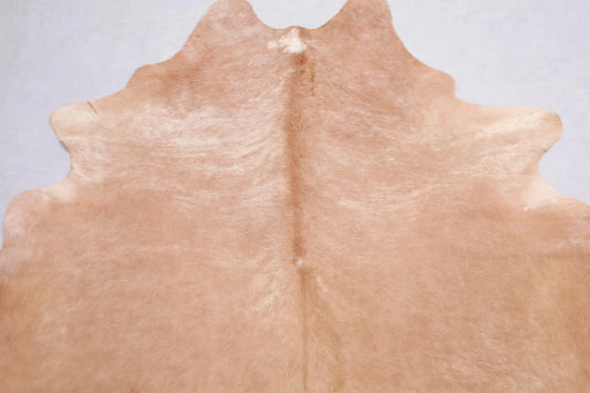 Kuhfell Braun Beige (4218) XXL 4-5 qm  Gerberei Birke Fellshop: Nahaufnahme Schulter