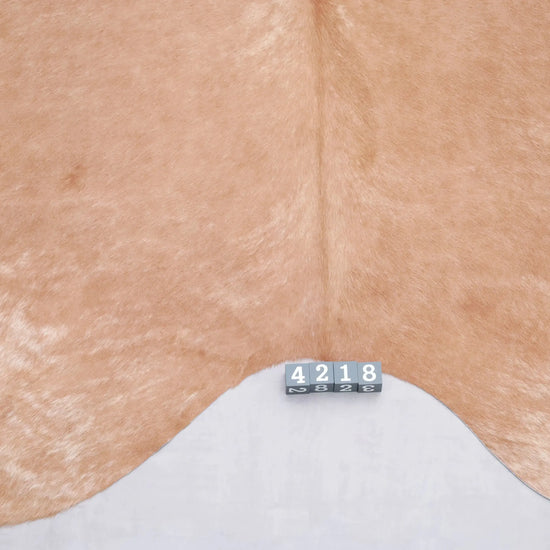 Kuhfell Braun Beige (4218) XXL 4-5 qm  Gerberei Birke Fellshop: Nahaufnahme Rückenende