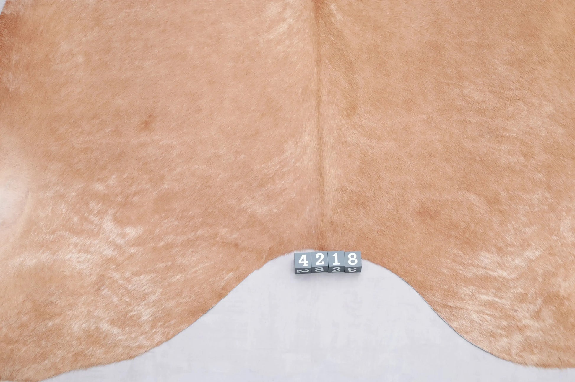 Kuhfell Braun Beige (4218) XXL 4-5 qm  Gerberei Birke Fellshop: Nahaufnahme Rückenende