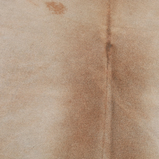 Kuhfell Beige Braun (1472) 1-2 qm Nahaufnahme - Rücken
