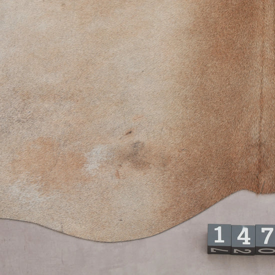 Kuhfell Beige Braun (1472) 1-2 qm Nahaufnahme Rückenende