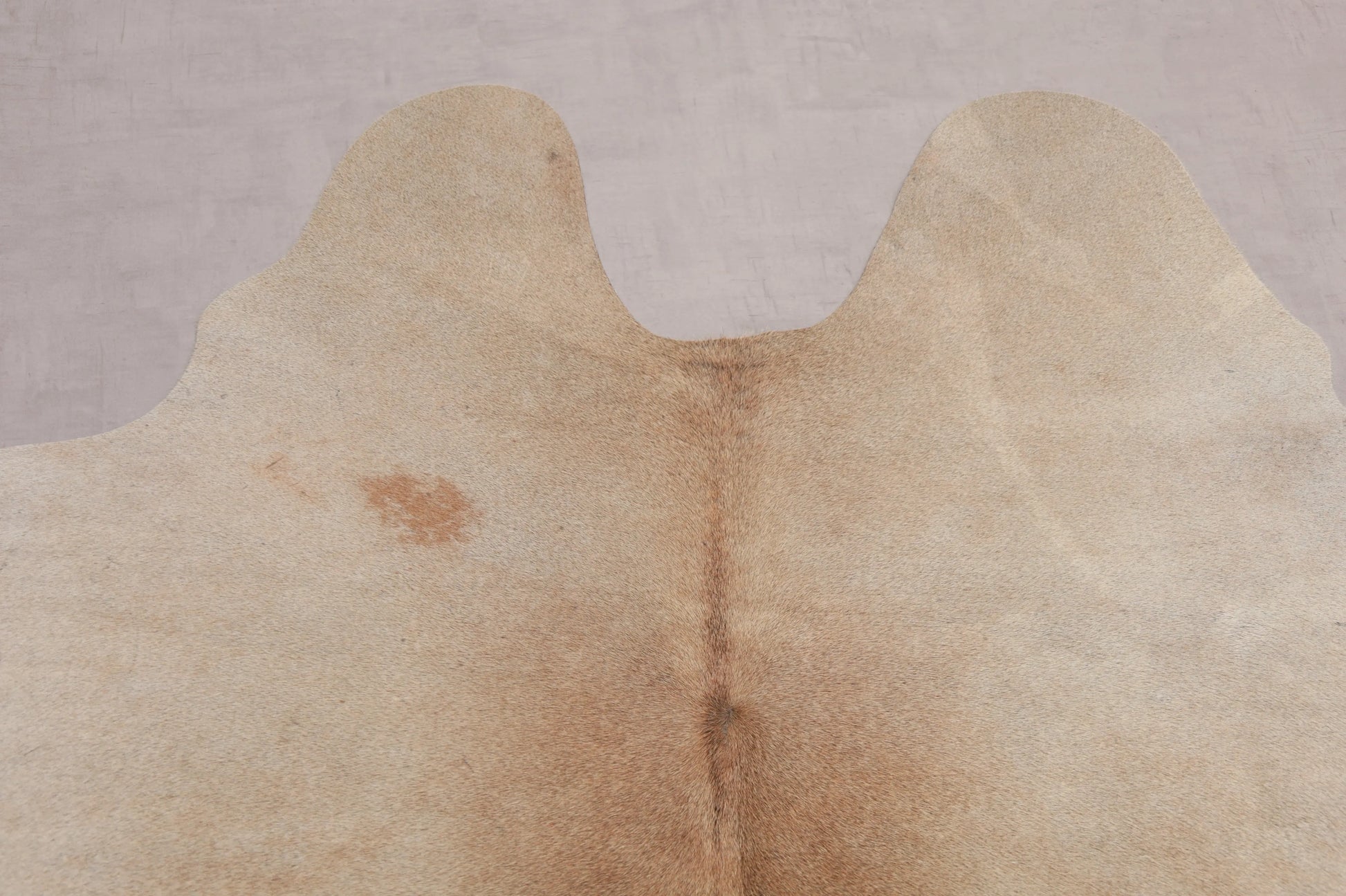 Kuhfell Beige Braun (1472) 1-2 qm Nahaufnahme- Hals