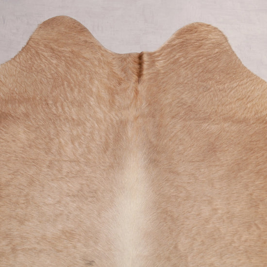 Kuhfell Beige Gold (1519) 1-2 qm Nahaufnahme Hals