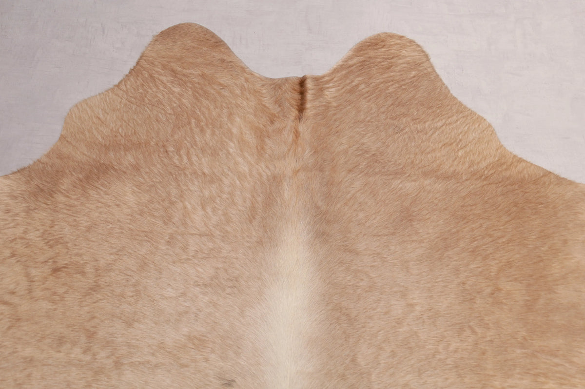 Kuhfell Beige Gold (1519) 1-2 qm Nahaufnahme Hals