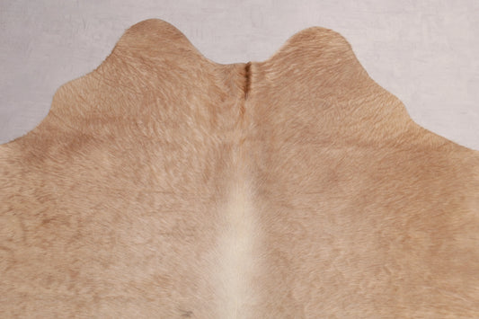 Kuhfell Beige Gold (1519) 1-2 qm Nahaufnahme Hals