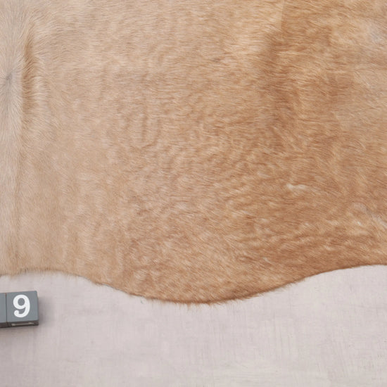 Kuhfell Beige Gold (1519) 1-2 qm Nahaufnahme Rückenmitte