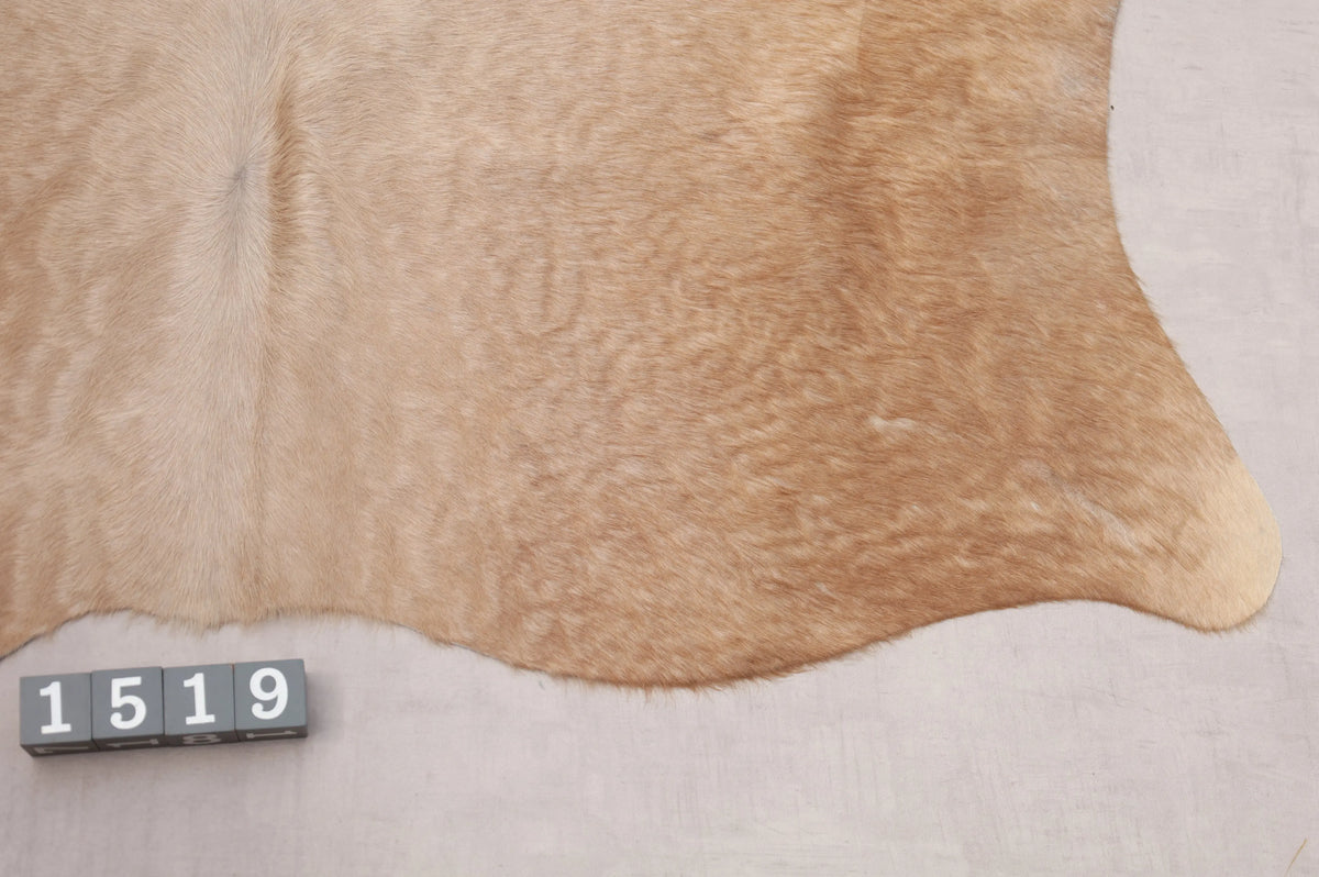 Kuhfell Beige Gold (1519) 1-2 qm Nahaufnahme Rückenmitte