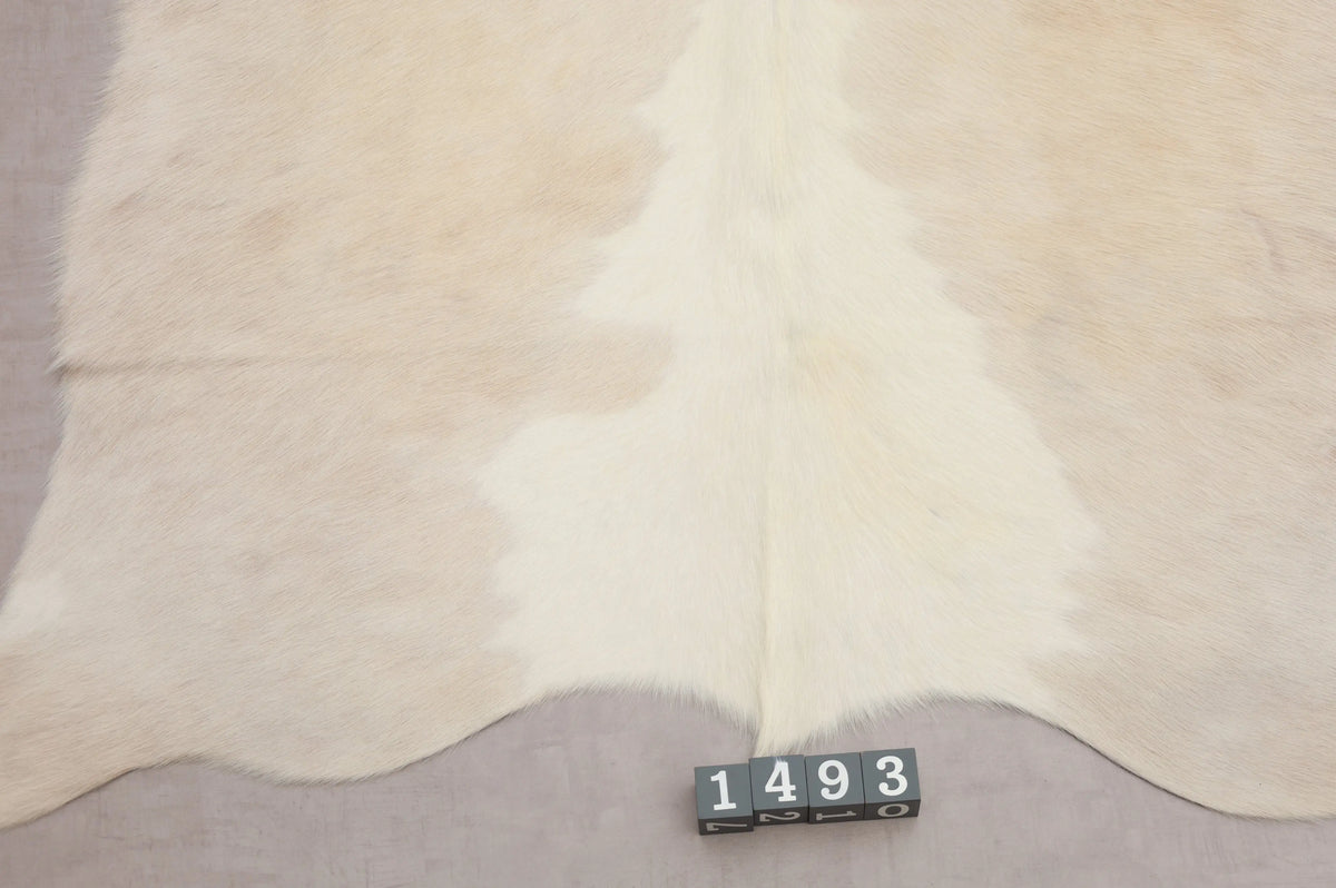 Kuhfell Beige Weiß gepunktet Langhaar (1493) 1-2 qm - Nahaufnahme Rückenende