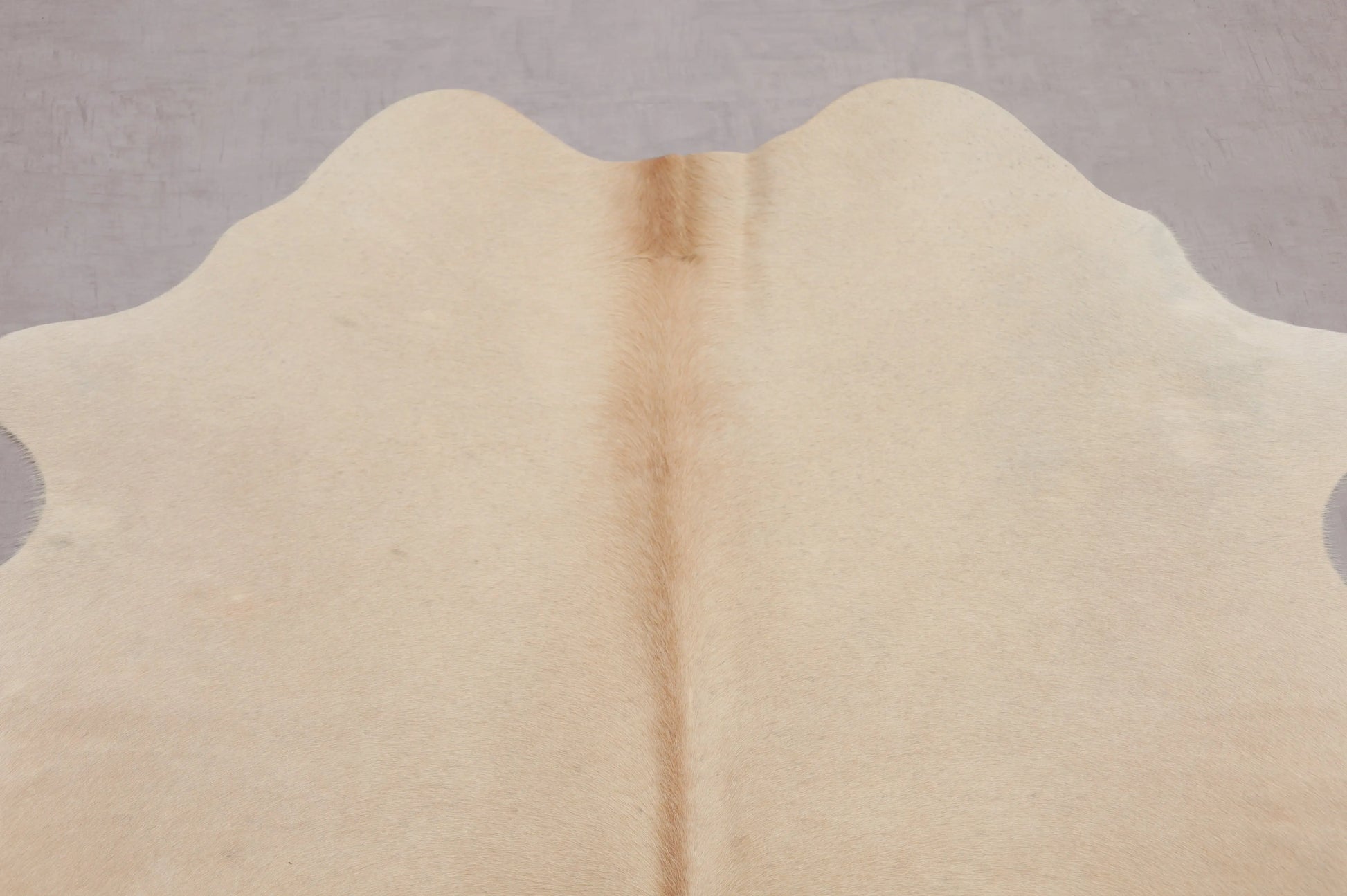 Kuhfell Beige gleichmäßig (1460) 1-2 qm Halsansicht
