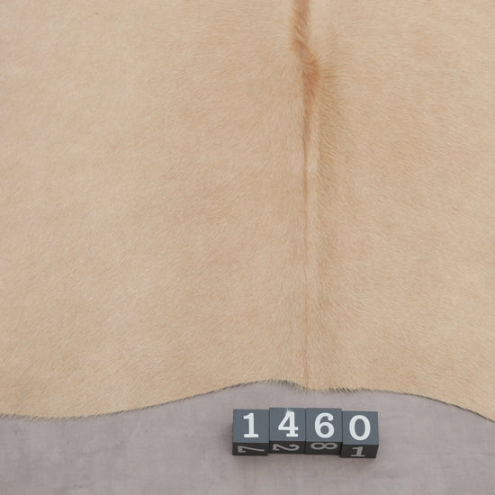 Kuhfell Beige gleichmäßig (1460) 1-2 qm  Gerberei Birke Fellshop Nahaufnahme unten
