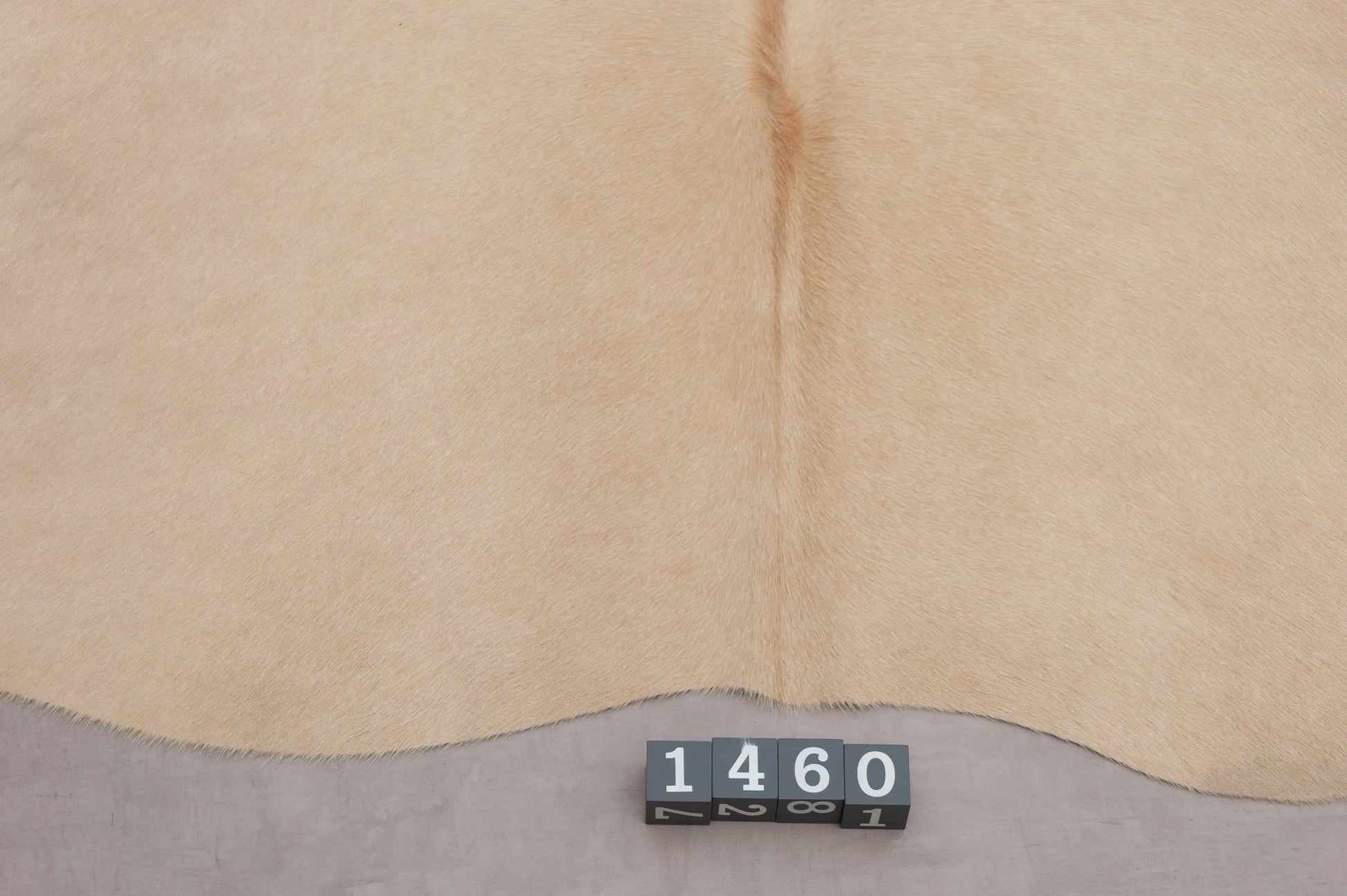 Kuhfell Beige gleichmäßig (1460) 1-2 qm  Gerberei Birke Fellshop Nahaufnahme unten