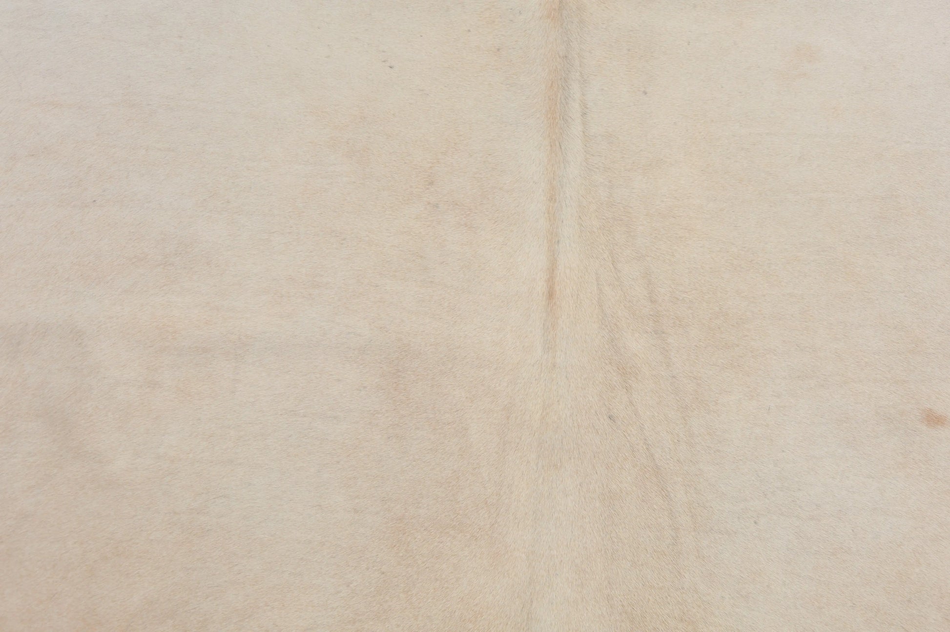 Kuhfell Beige sehr hell (1480) 1-2 qm Nahaufnahme - Rücken