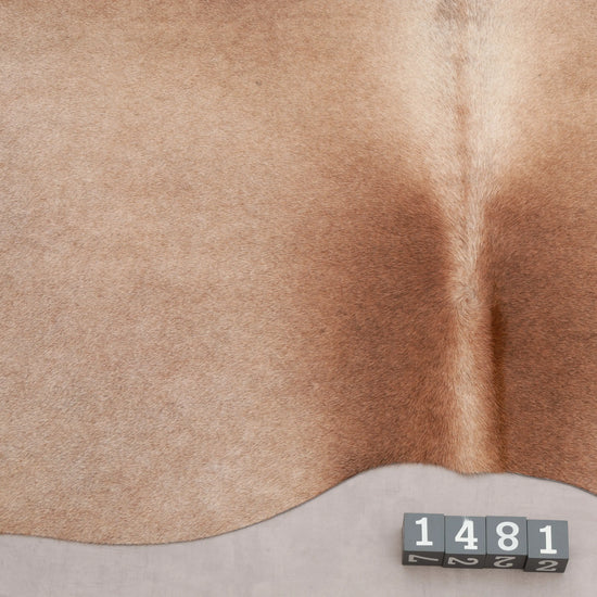 Kuhfell Braun Beige (1481) 1-2 qm Nahaufnahme - Rückenende