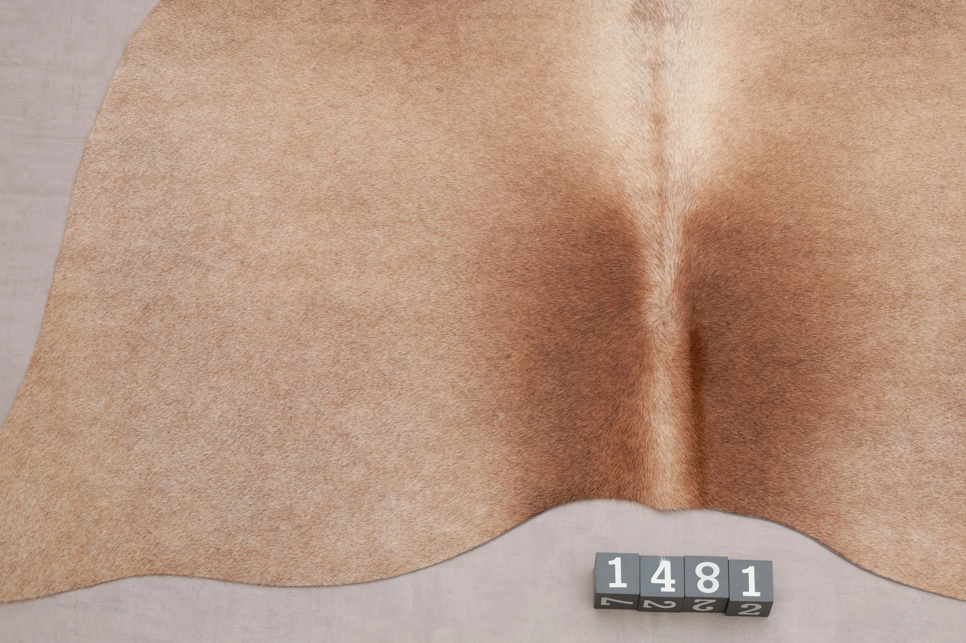 Kuhfell Braun Beige (1481) 1-2 qm Nahaufnahme - Rückenende