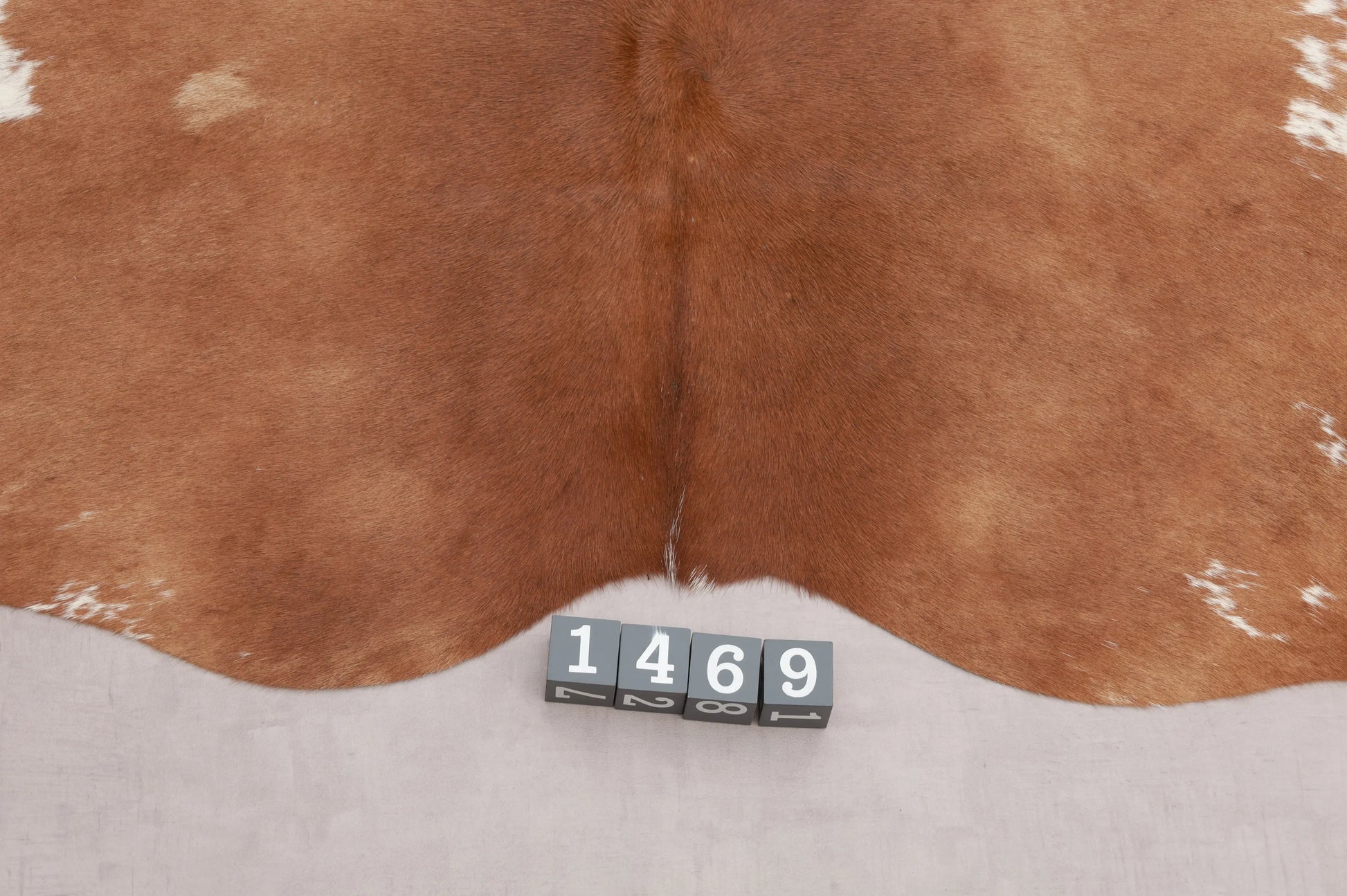 Kuhfell Braun Weiß gepunktet (1469) 1-2 qm Nahaufnahme - Rückenende