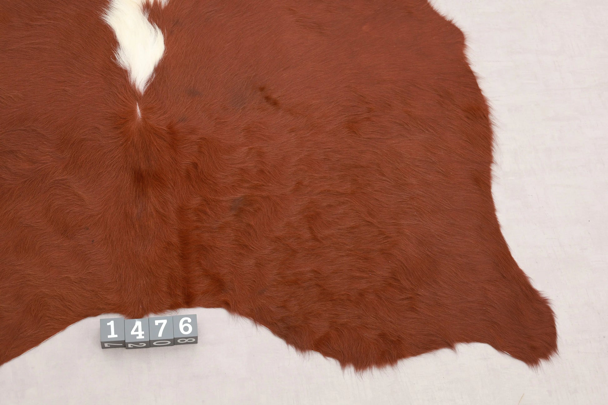Kuhfell Braun Weiß Beige (1476) 1-2 qm Nahaufnahme - Hinterbein