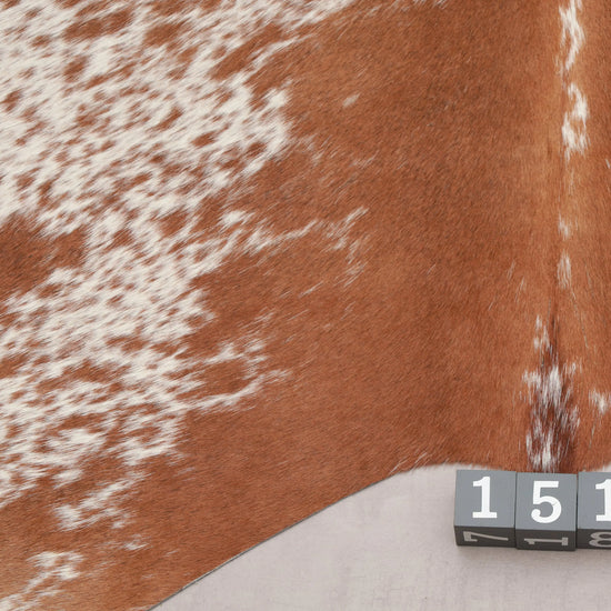 Kuhfell Braun Weiß Beige gepunktet (1515) 1-2 qm Nahaufnahme Rückenende