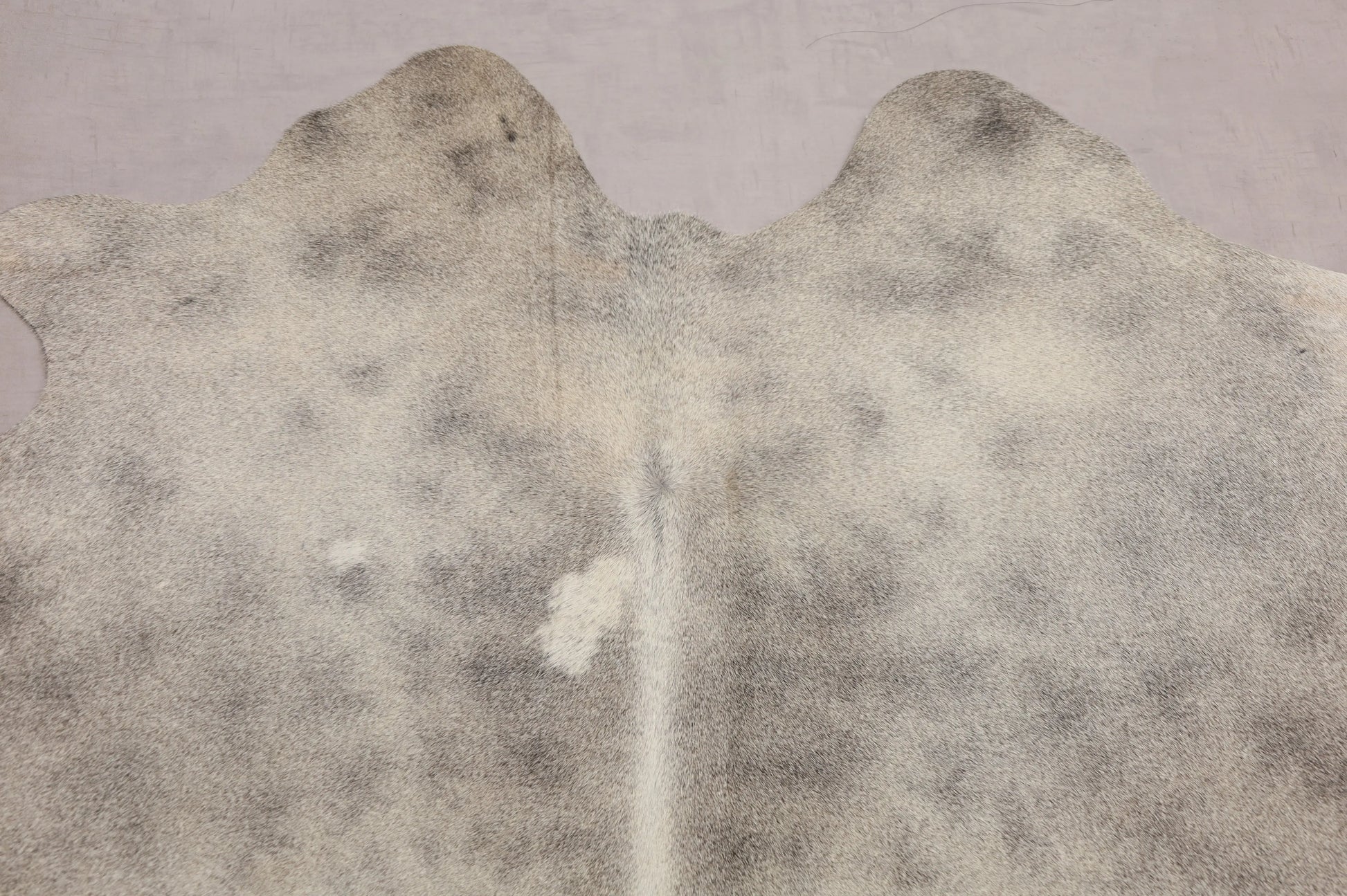Kuhfell Grau Beige (1479) 1-2 qm Nahaufnahme - Hals