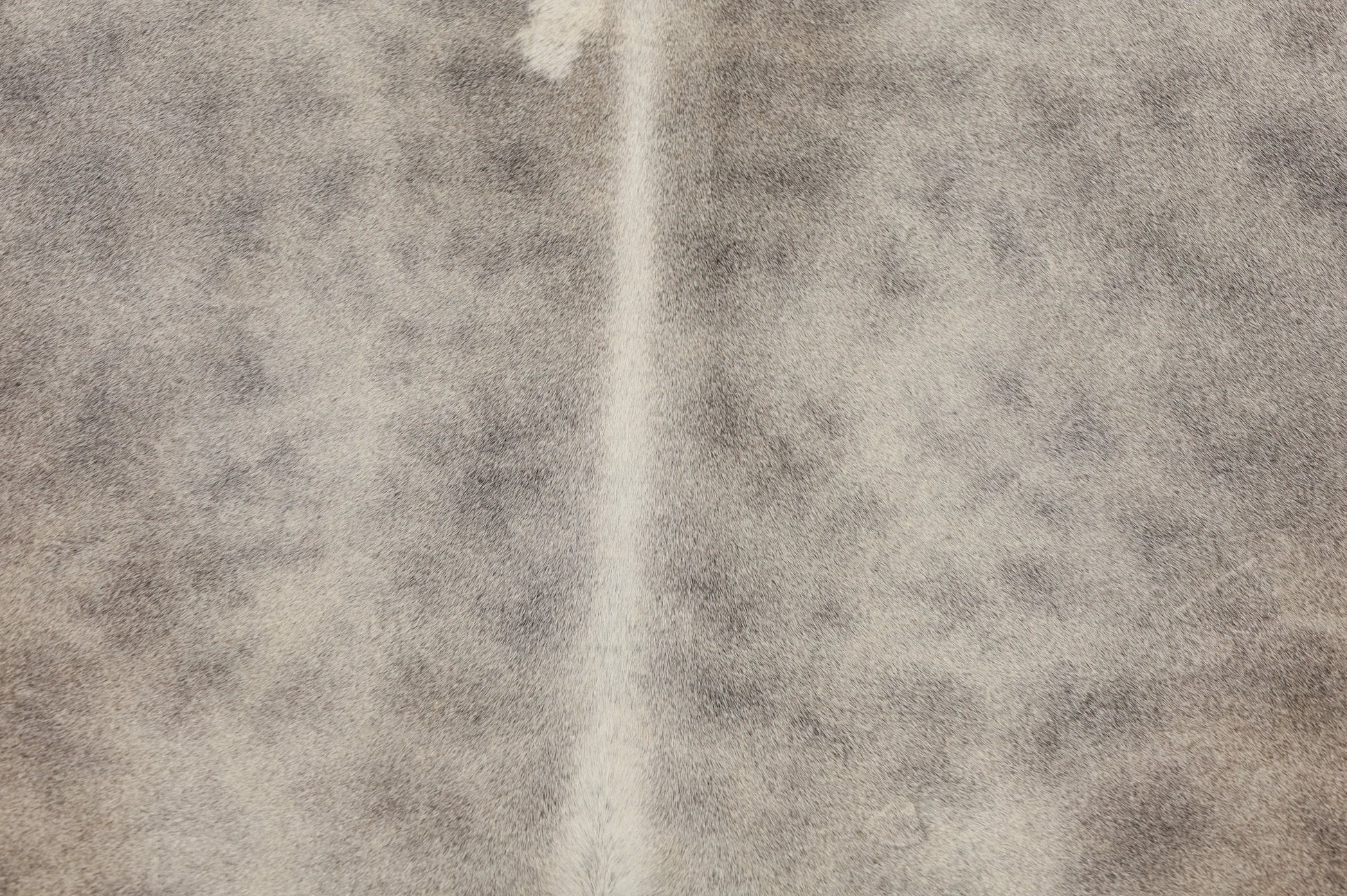Kuhfell Grau Beige (1479) 1-2 qm Nahaufnahme - Rücken