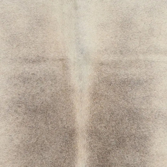 Kuhfell Grau Beige Weiß (1488) 1-2 qm - Nahaufnahme Rücken