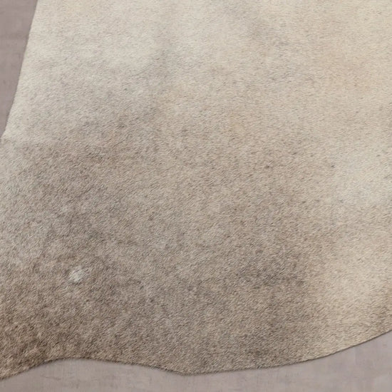 Kuhfell Grau Beige Weiß (1488) 1-2 qm - Nahaufnahme Bein