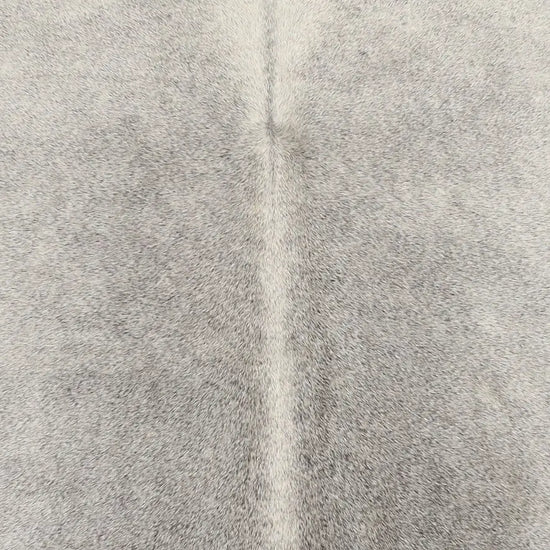 Kuhfell Grau Beige Weiß (1491) 1-2 qm - Nahaufnahme Rücken