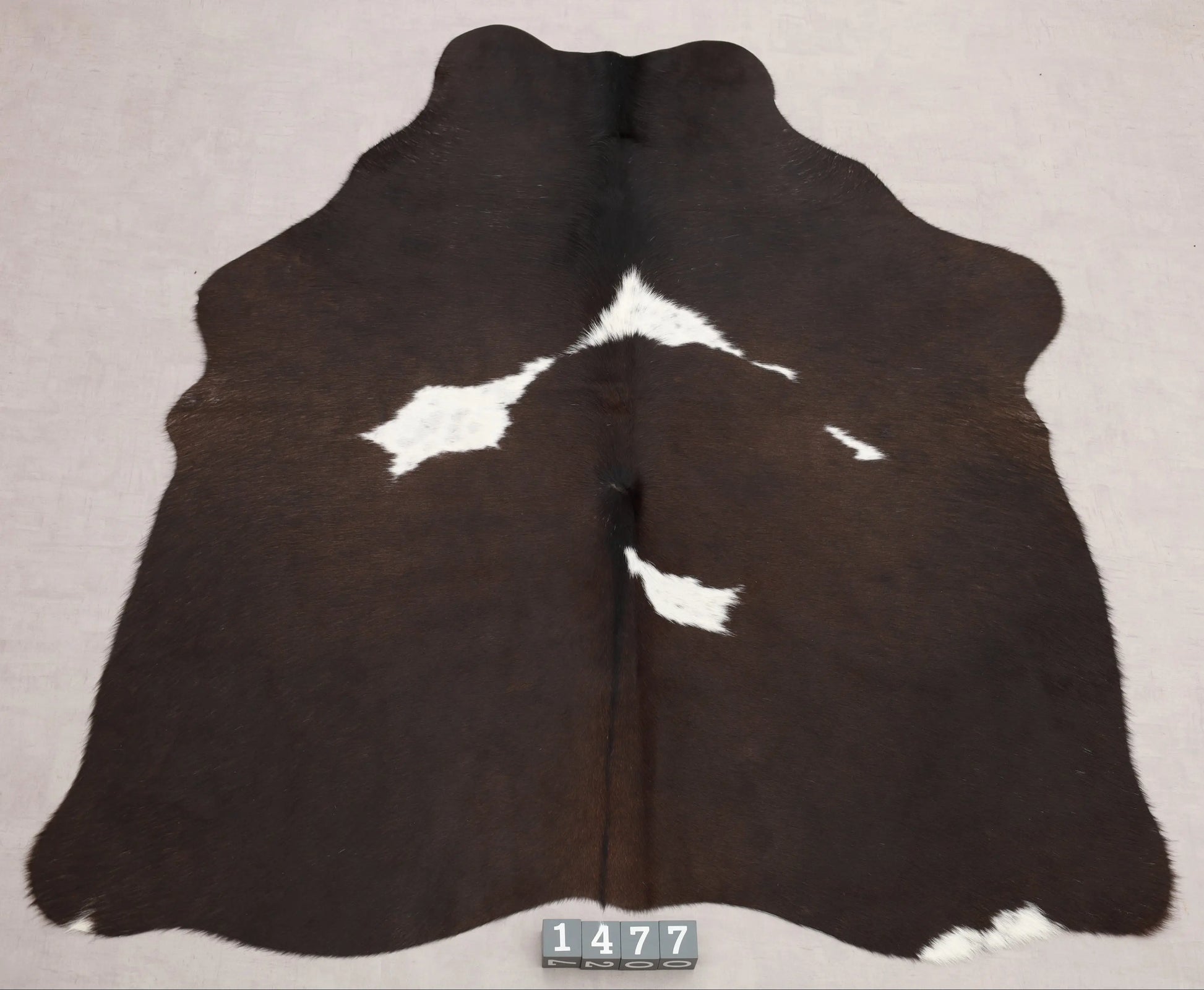 Kuhfell Schwarz Braun Weiß sehr dunkel braun (1477) 1-2 qm Gesamtaufnahme