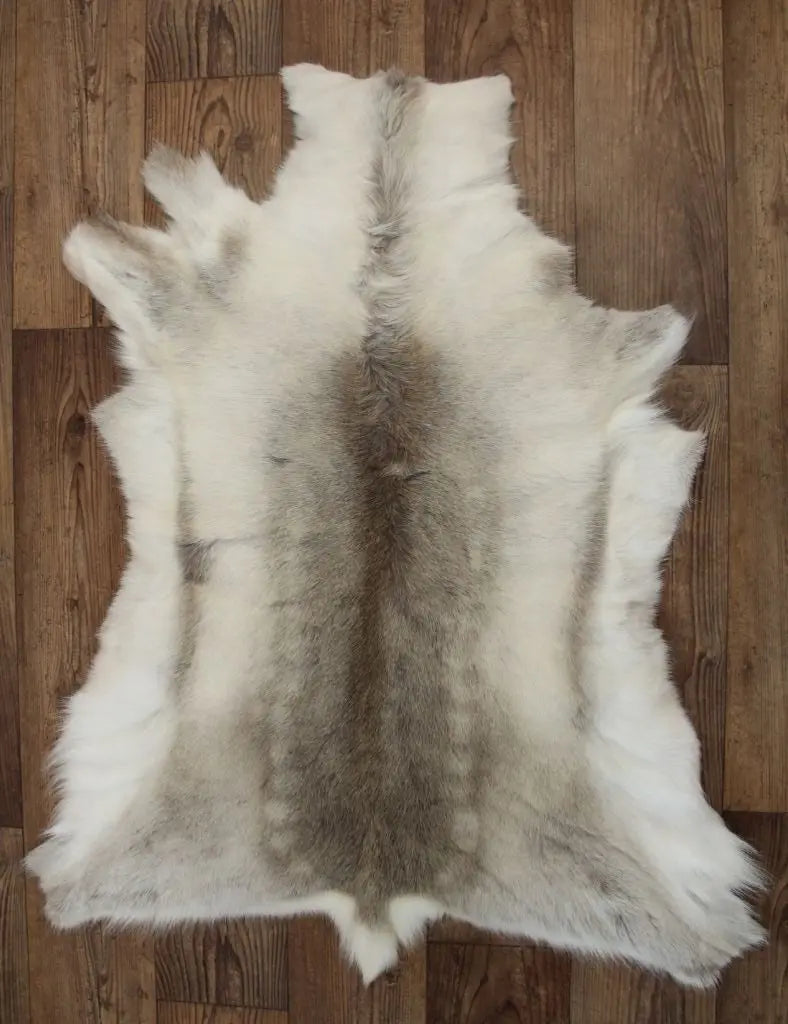 Rentierfell hell Gerberei Birke