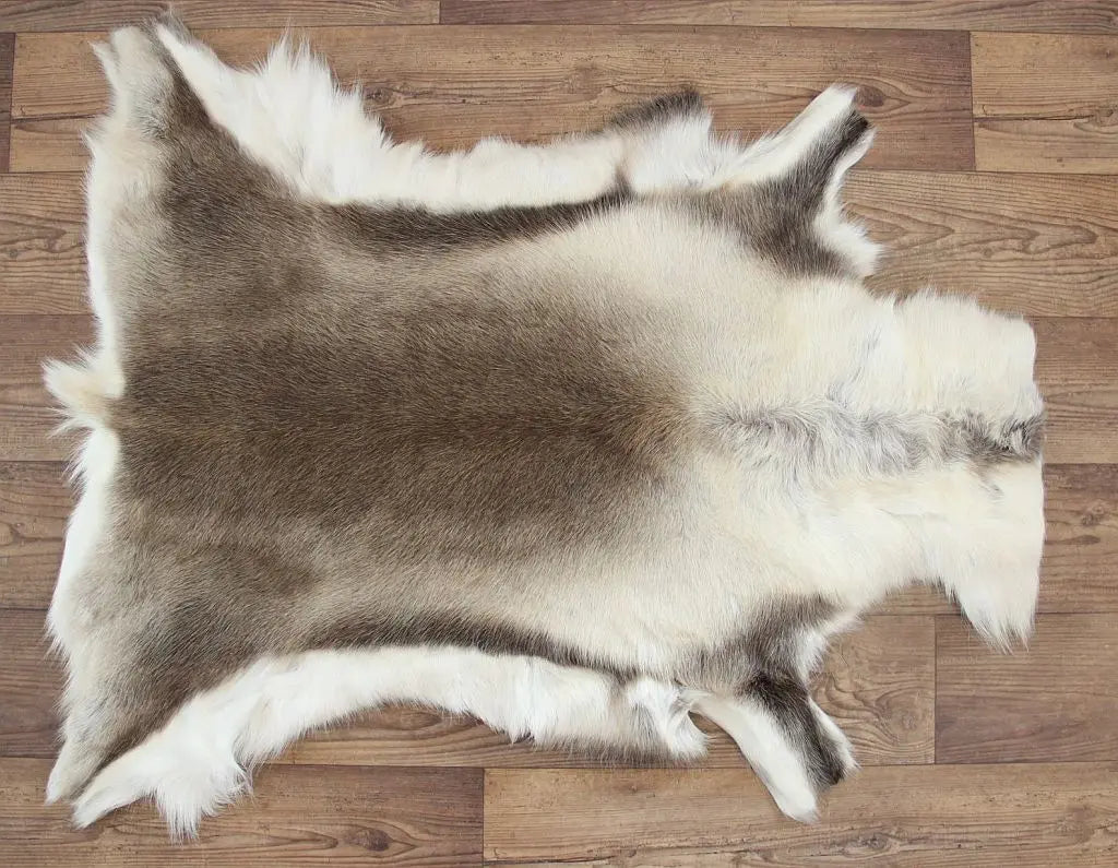 Rentierfell Naturfarben Gerberei Birke