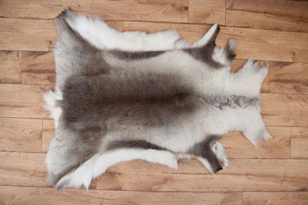 Rentierfell Naturfarben Gerberei Birke